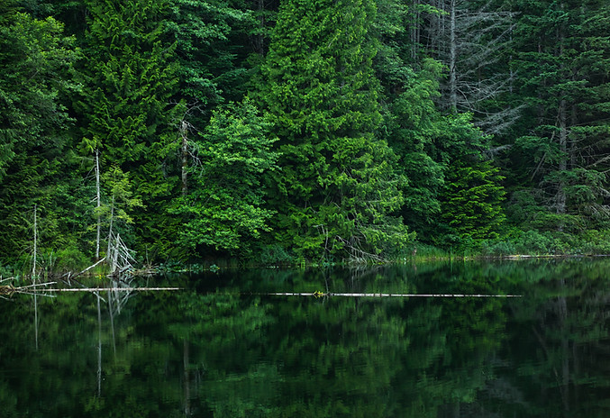 Green Nature