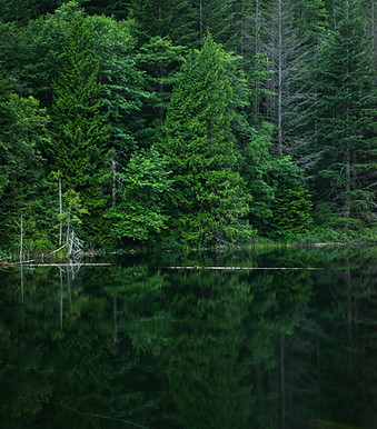 Green Nature