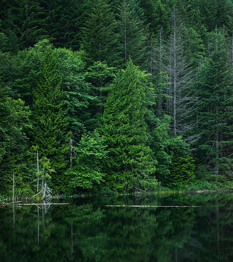 Green Nature