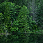 Green Nature