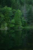 Green Nature