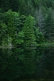 Green Nature