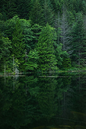 Green Nature