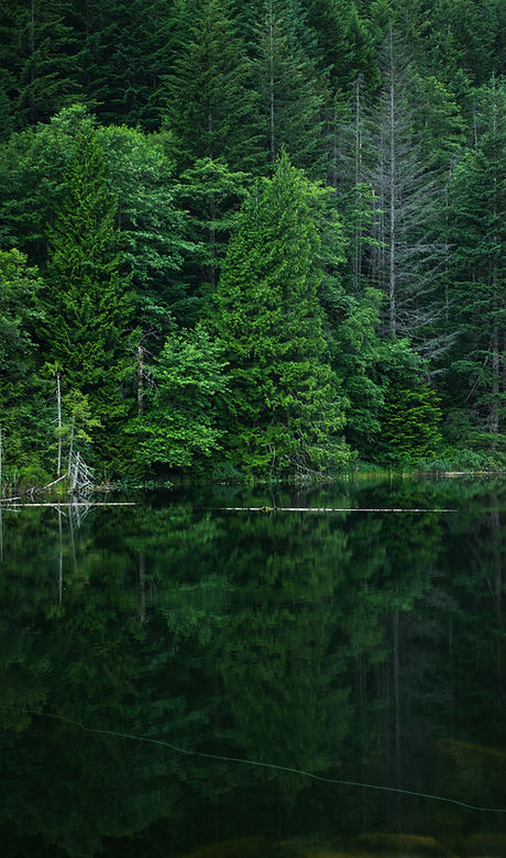 Green Nature