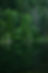 Green Nature