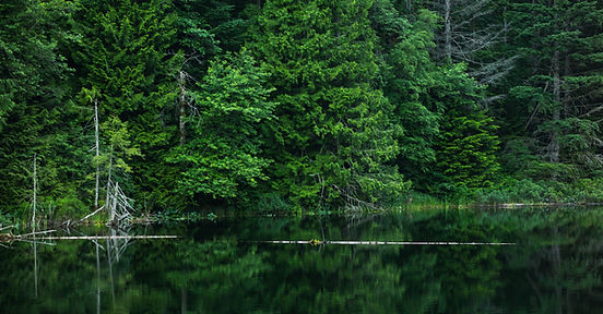 Green Nature