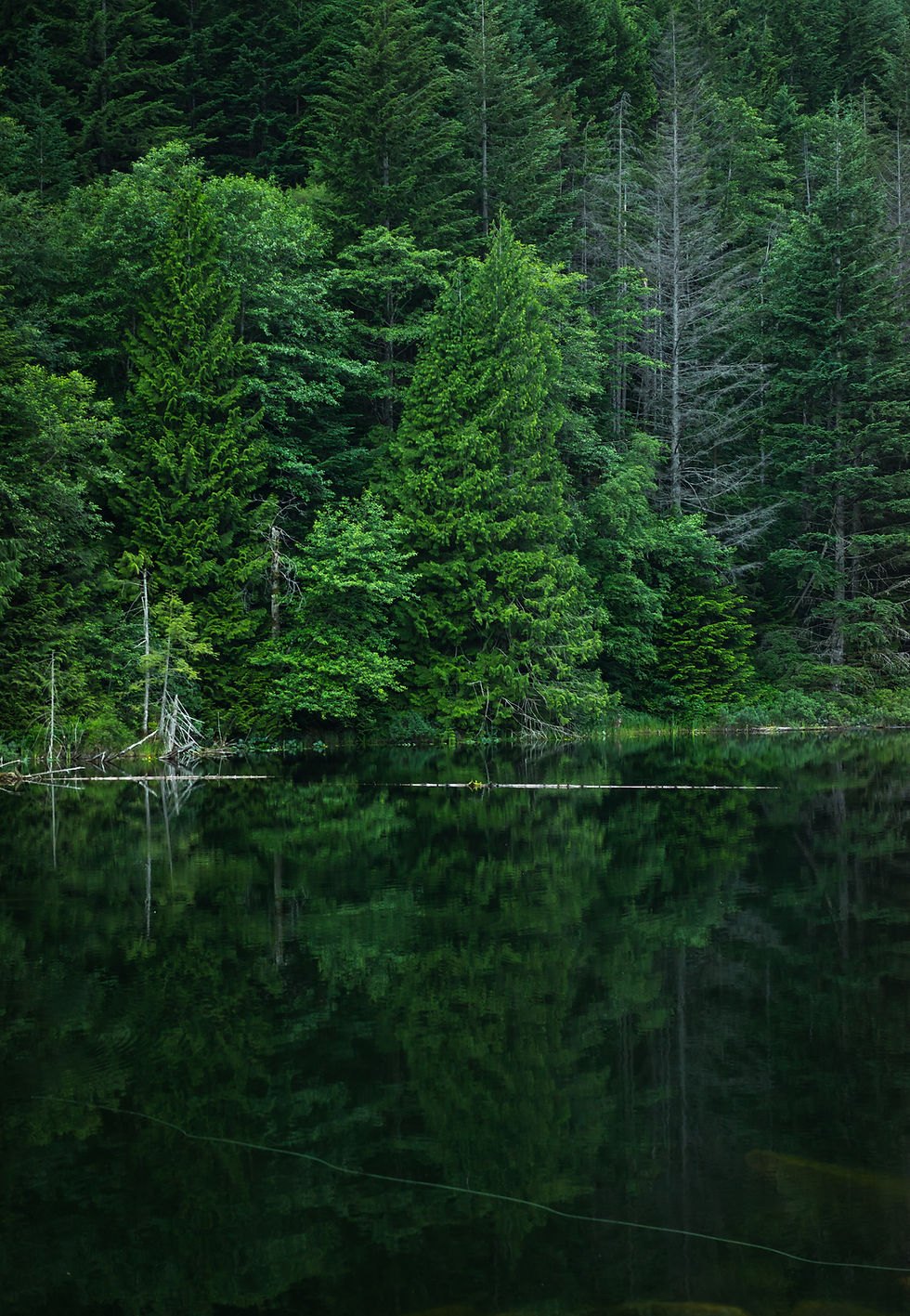 Green Nature