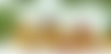 Заработок на игре Golden birds