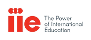 iie logo.png