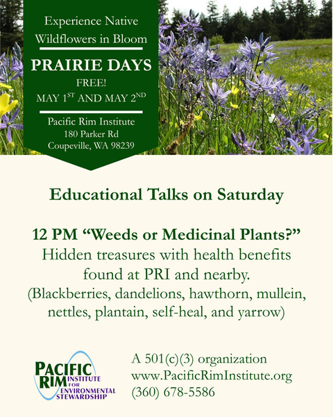 Educational talk 12PM flyer