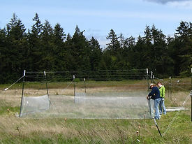 2 people putting up fencing around a plot of land.