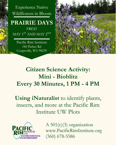 information for the bioblitz.