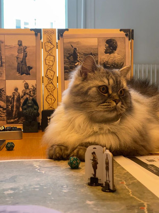 Chat et table de jeu.