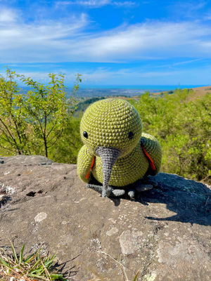Keppa the Kea