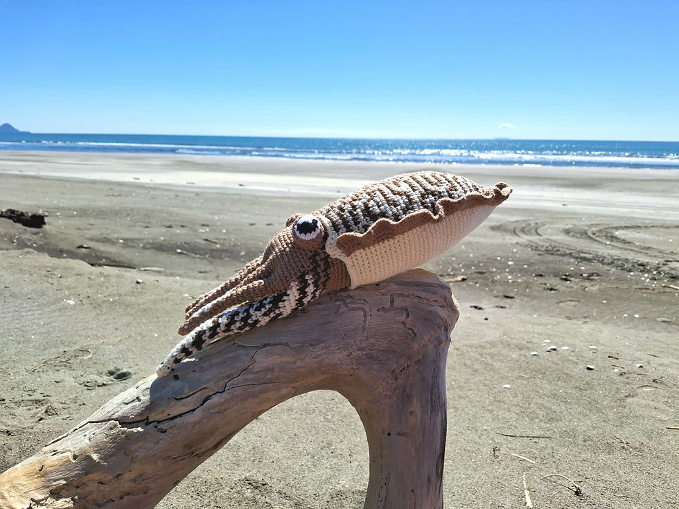 Thumbnail: Carly the Cuttlefish