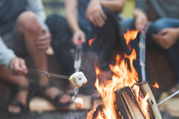A Campfire. A Wildfire. And AI.