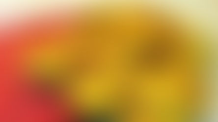 De la page au plat : Madeleines aux petits pois, persil & jambon