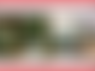 L’avis des libraires - 92ème chronique : Le Cycle des Chats Volants