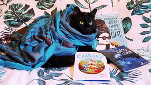 L’avis des libraires - Chronique HS : Des félins sous toutes les formes...