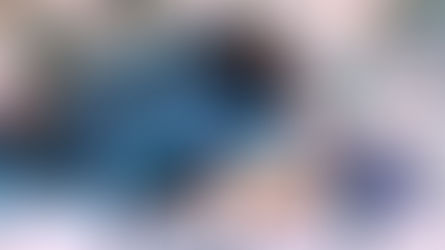 L’avis des libraires - Chronique HS : Des félins sous toutes les formes...