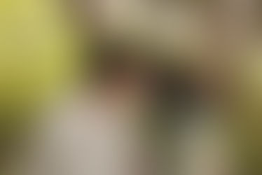 Mot du Mercredi n°55 : Haruki Murakami