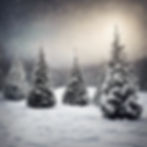 Snowy christmas trees landscape.jpg