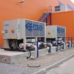 Ceca-111.jpg