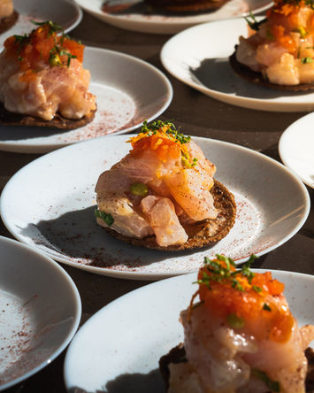 Salmon tartare on dark bread appetizer, elegant seafood food photography Puerto Rico
