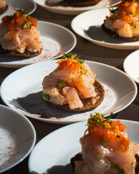 Salmon tartare on dark bread appetizer, elegant seafood food photography Puerto Rico