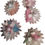 Thumbnail: The Double Daisy Throw/Chew Toy
