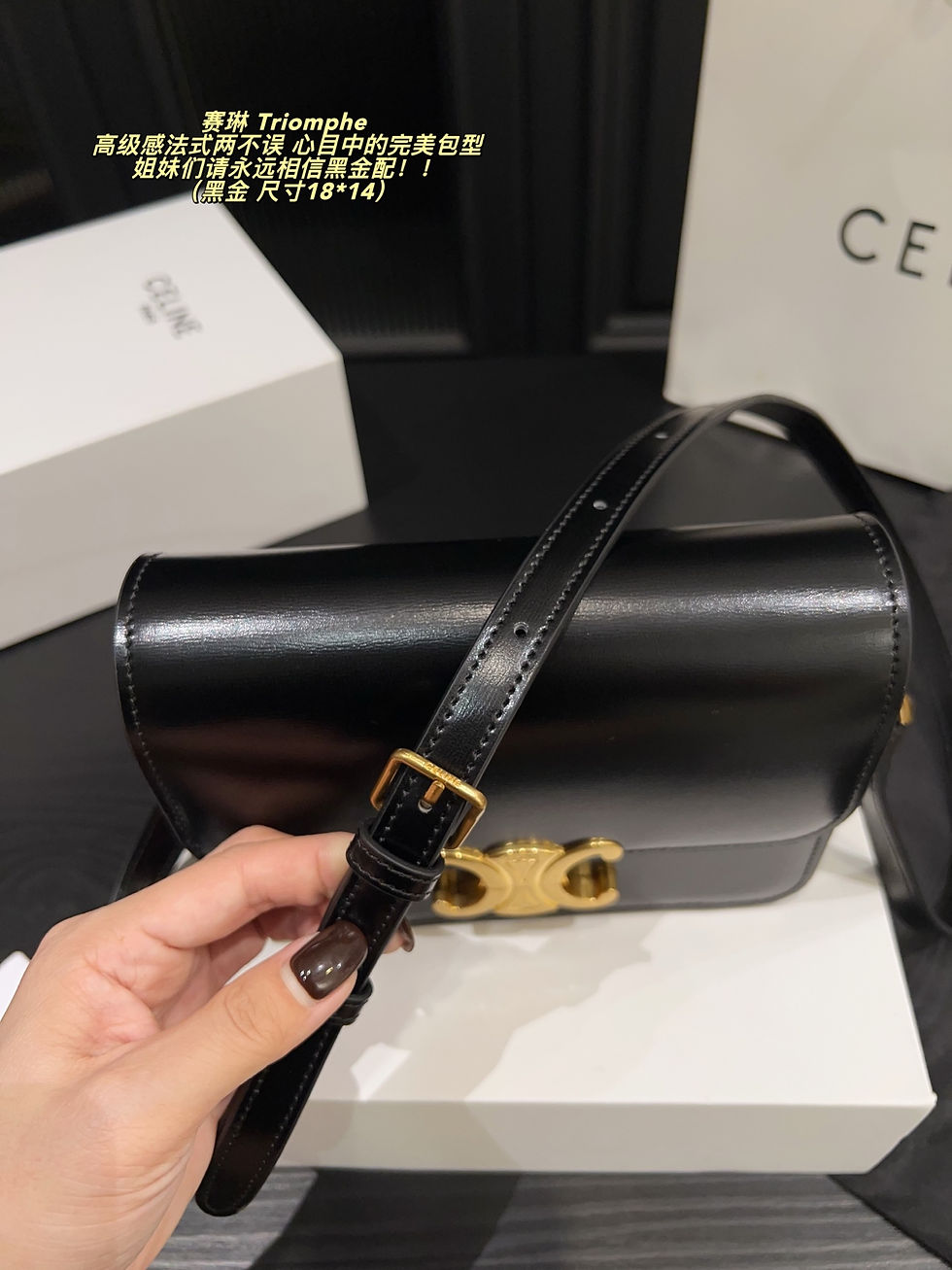 Miniature : Celine Triomphe Bag