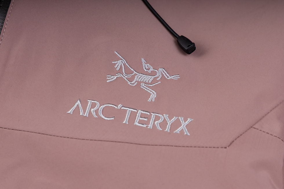 Miniature : Arc'teryx Alpha SV Jacket