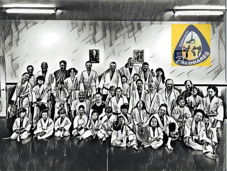 JUDO: PADRES E HIJOS 2017