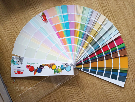 Cómo elegir el muestrario de color ideal para tu categoría