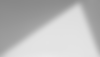 Shutter