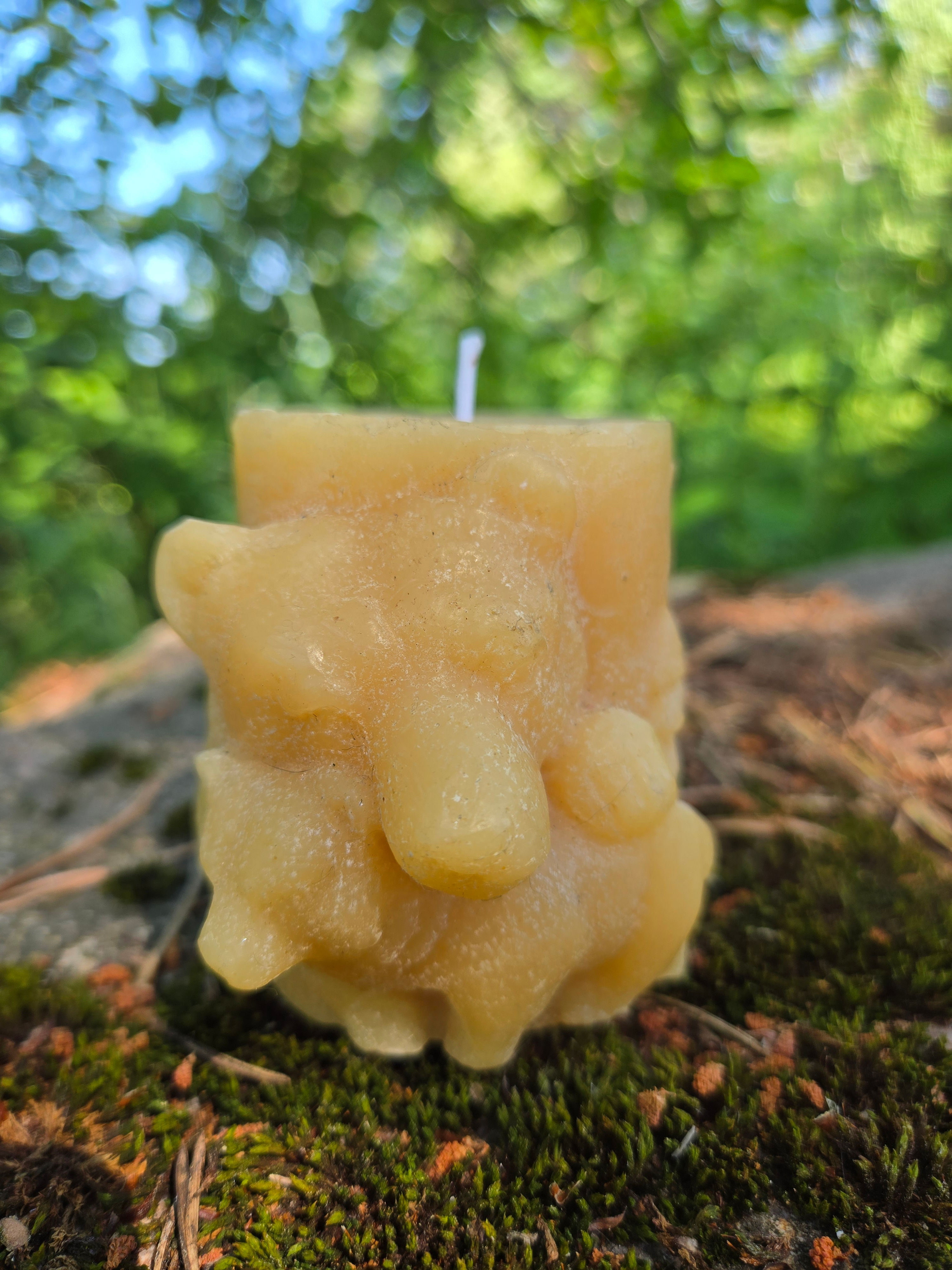 Bear Pillar Candle in Beeswax