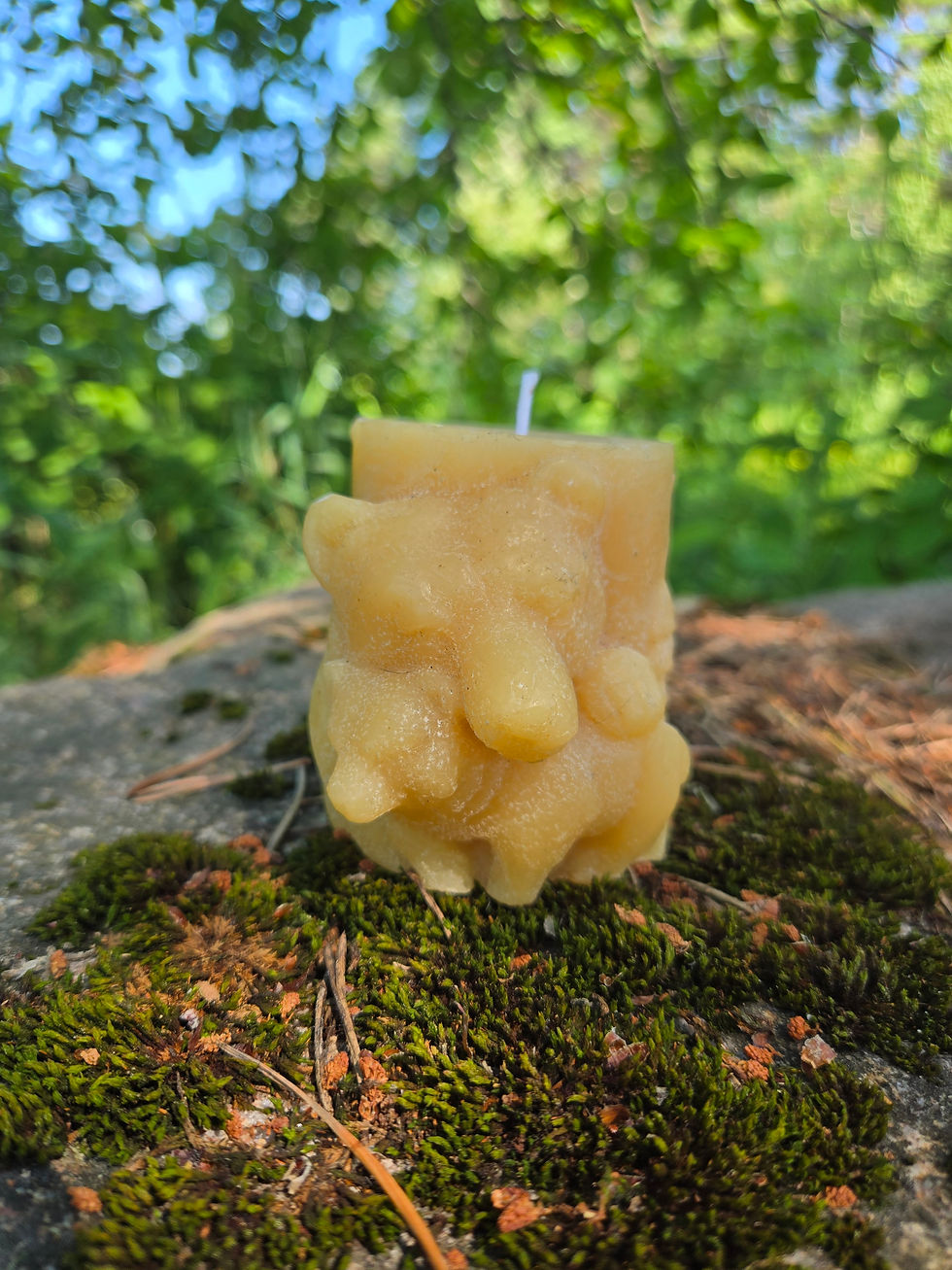 Thumbnail: Bear Pillar Candle in Beeswax