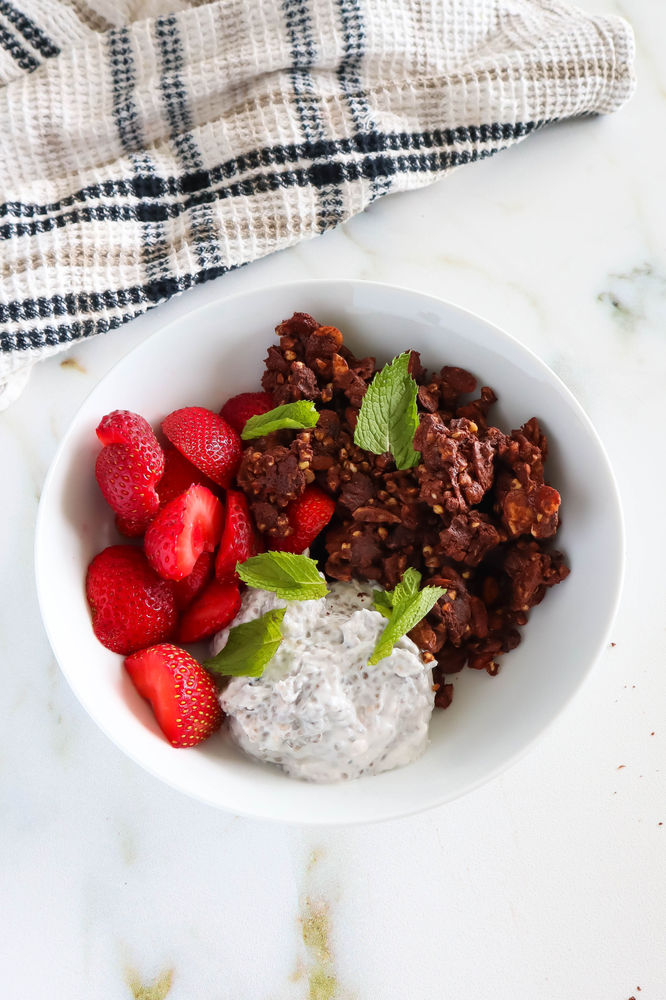 Chocolate Protein Granola (Paleo, Vegan, Low Carb)