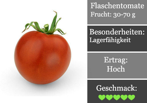 Steckbrief der Frühzauber Tomate