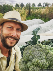 Don Giardino und sein prächtiger Brokkoli