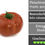Miniaturbild: Bulgarische Tomate