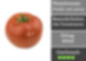 Pilion Tomate