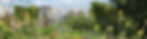 don-giardino-startseite.jpg