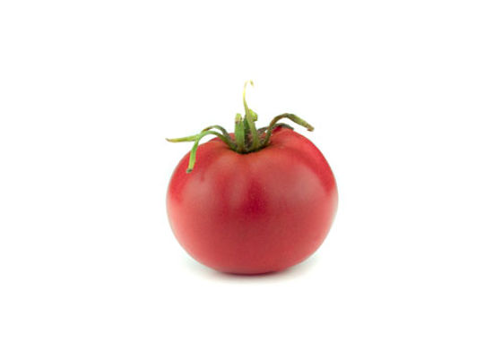 Berner Rose (Fleischtomate) | BIO Saatgut