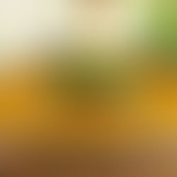 ढाबा स्टाइल में पकाई गई गाढ़ी मसूर दाल जिसका रंग सुनहरा-भूरा है, ऊपर से डाला गया घी का तड़का (दिखाई दे रहे हैं जीरा और लहसुन के टुकड़े) और ताज़ी हरी धनिया से सजाया गया, साथ में गरम-गरम रोटी रखी हुई