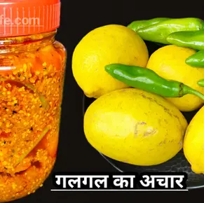 Homemade Pahadi Nimbu Achar (Galgala Lemon Pickle) with Green Chilies in a glass jar, Indian winter special pickle recipe
