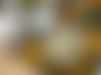 5 प्रकार के दाल चावल - पंजाबी, दक्षिण भारतीय, मसाला, केरल और तमिलनाडु स्टाइल में एक साथ परोसते हुए