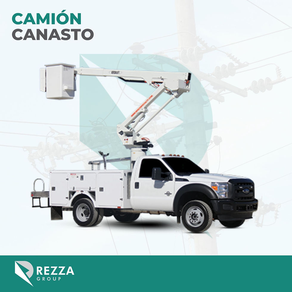 CAMION CANASTO