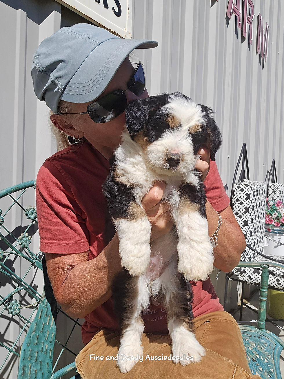 Thumbnail: Scarlett I’ve been claimed 🐾 May 2026