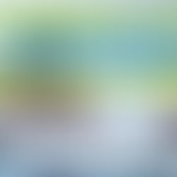 Ergebnisse der Stadtratsitzung vom 28.01.2025